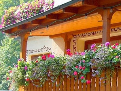 Foto: Zur Burgruine